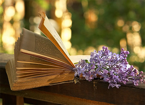 poetry_inspiration_pic3